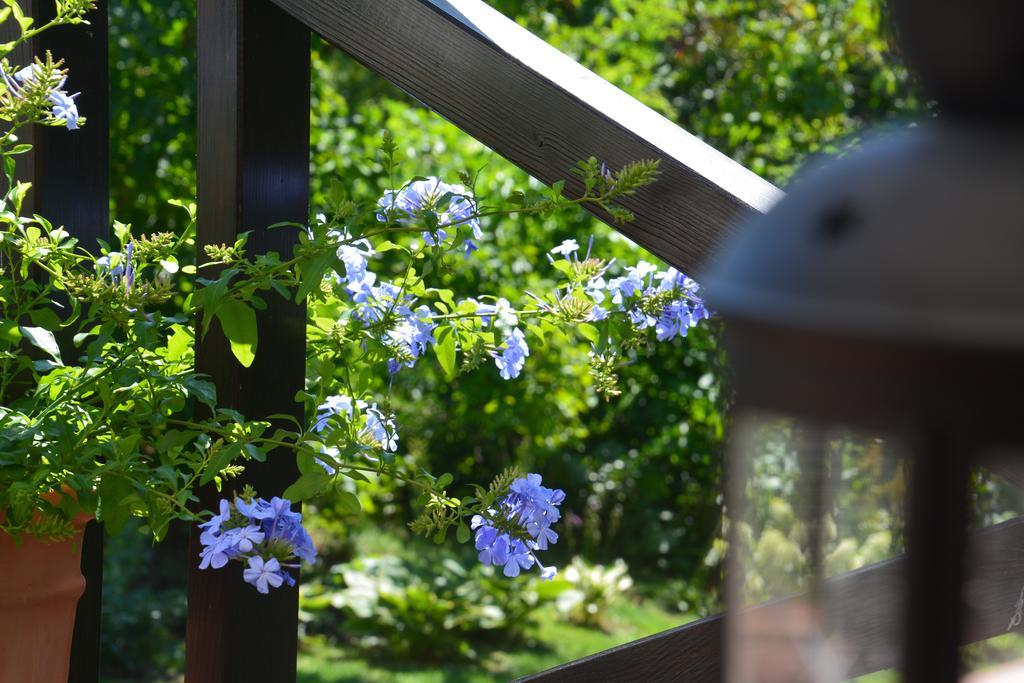 Lesna 6 - House With A Garden Villa Bolechowice Ngoại thất bức ảnh